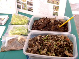 Compost Exhibit at Baum Forum Schools Food and Gardening