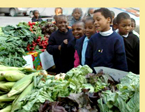 Slow Food NYC Kid'sApple Day